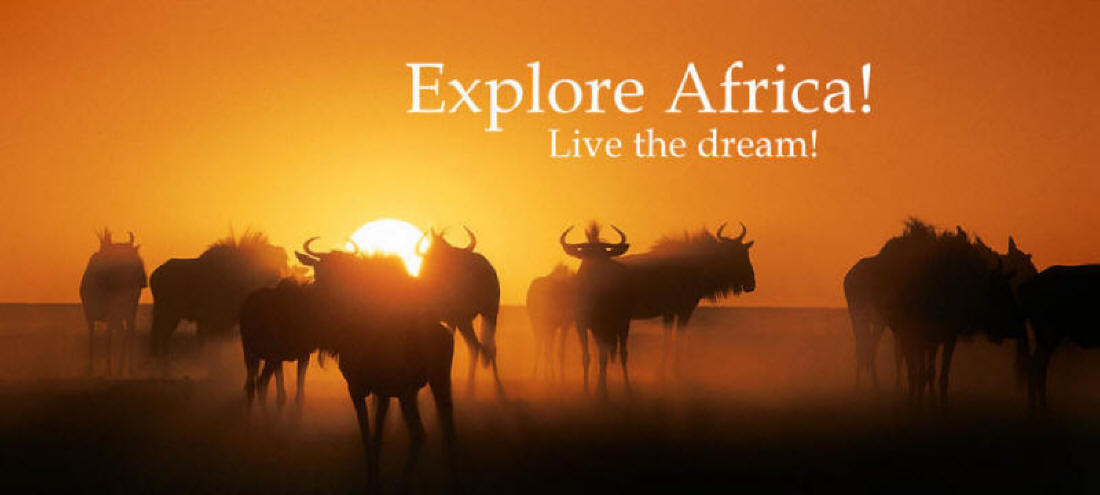 africa-safaris