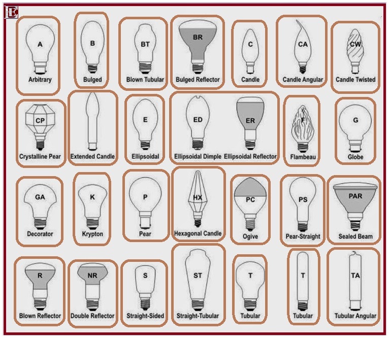 different-types-of-bulbs