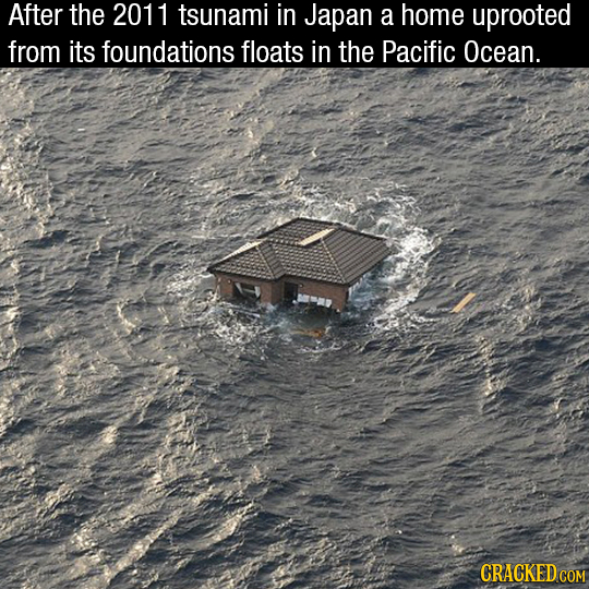Tsunami In Japan