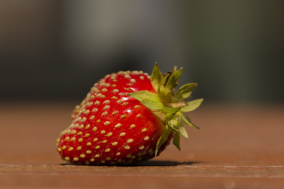 q-ladybirds-are-red-so-are-strawberries-why