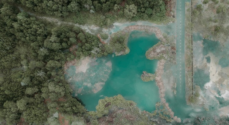 aerial-shot-bird-s-eye-view-lake